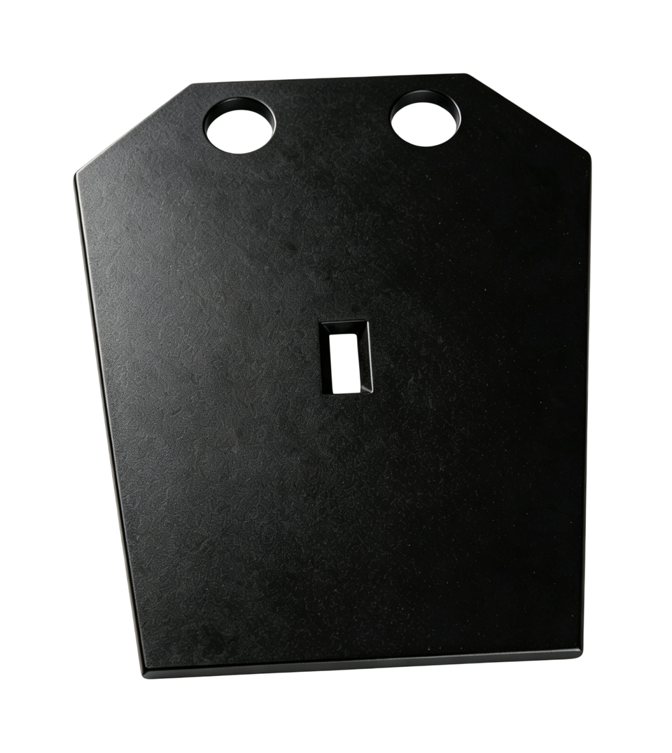 Cheek Plate 1
