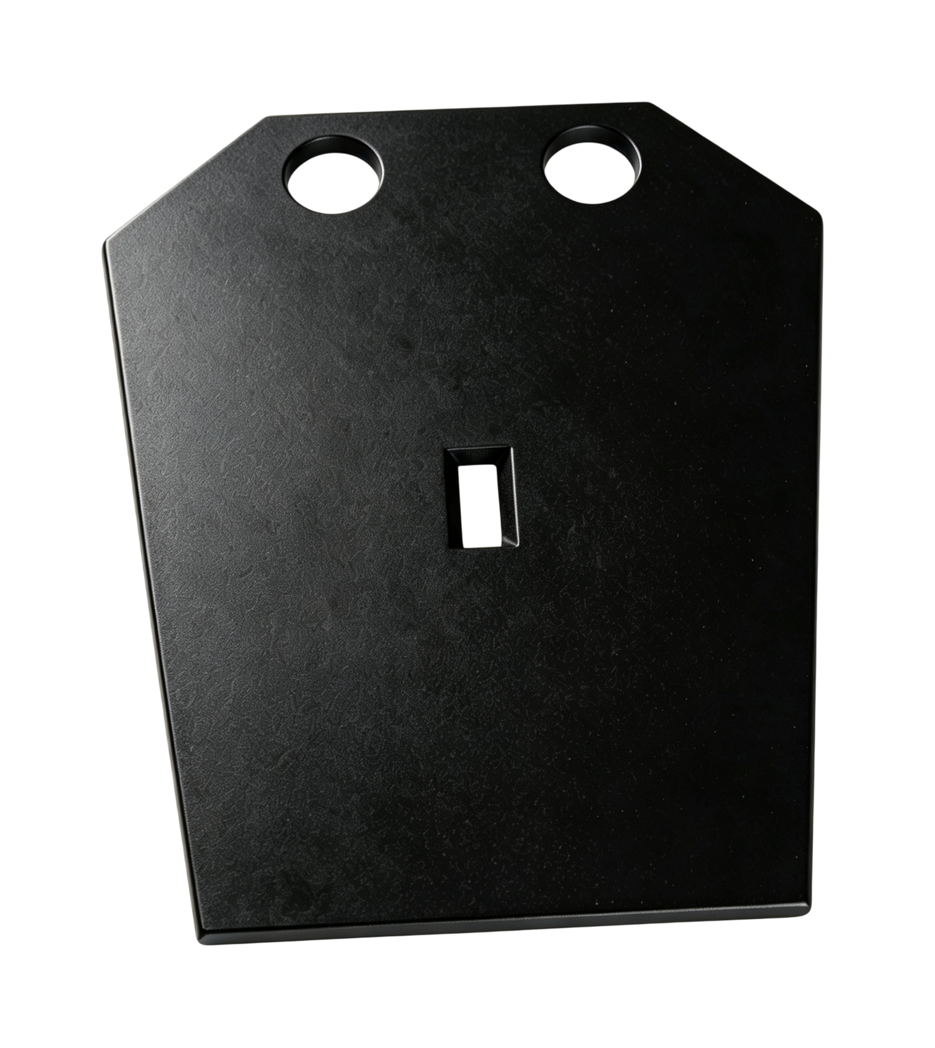 Cheek Plate 1
